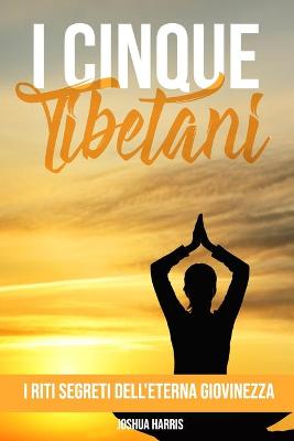 Book cover for I cinque tibetani