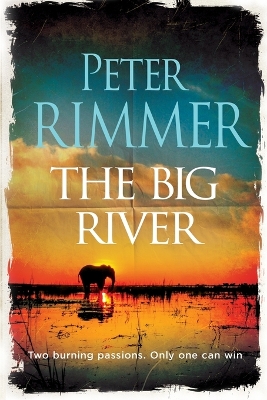 Book cover for The Big River