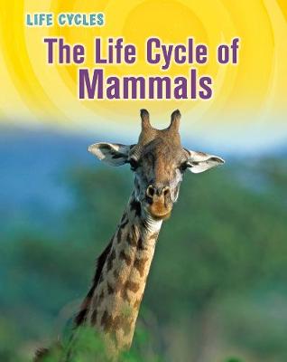 Cover of The Life Cycle of Mammals