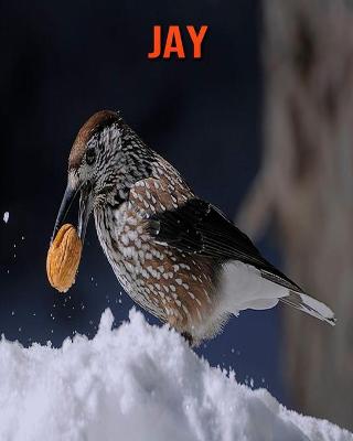 Book cover for Jay