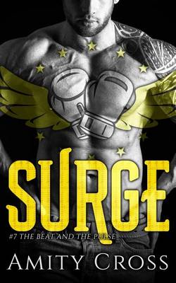 Book cover for Surge