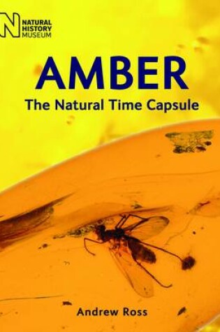 Cover of Amber