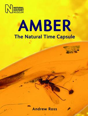 Cover of Amber