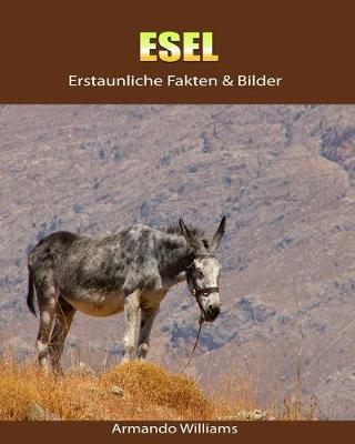 Book cover for Esel