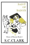 Book cover for Saint of Saints