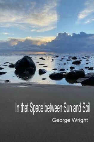 Cover of In That Space Between Sun and Soil