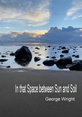 Book cover for In That Space Between Sun and Soil