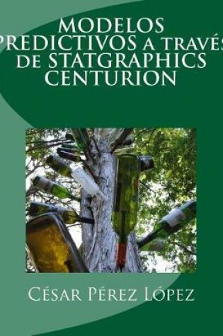 Cover of Modelos Predictivos a Traves de Statgraphics Centurion