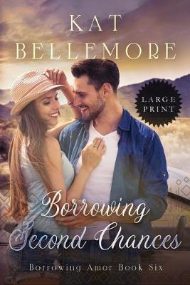 Book cover for Borrowing Second Chances