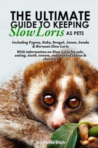 Cover of The Ultimate Guide to Keeping Slow Loris as Pets Including Pygmy, Baby, Bengal, Javan, Sunda & Bornean Slow Loris. with Information on Slow Loris for Sale, Eating, Teeth, Venom, Endangered Status & Charities