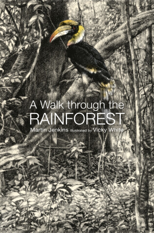 Cover of A Walk Through the Rain Forest