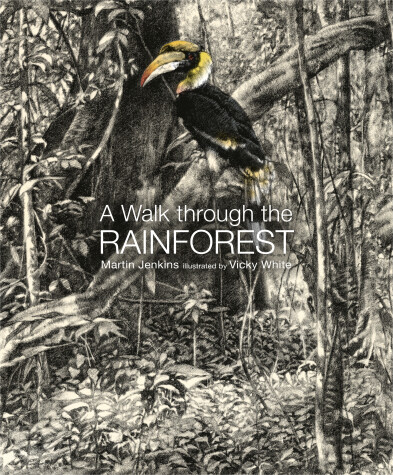 Book cover for A Walk Through the Rain Forest