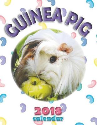 Book cover for Guinea Pig 2018 Calendar