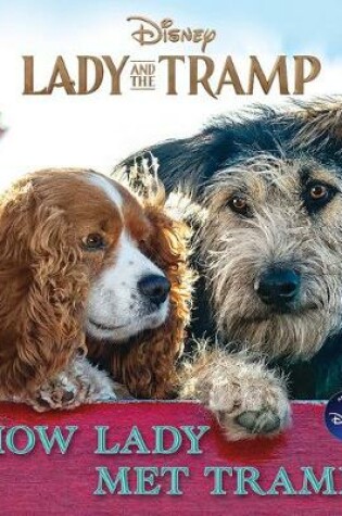 Cover of Lady and the Tramp: How Lady Met Tramp