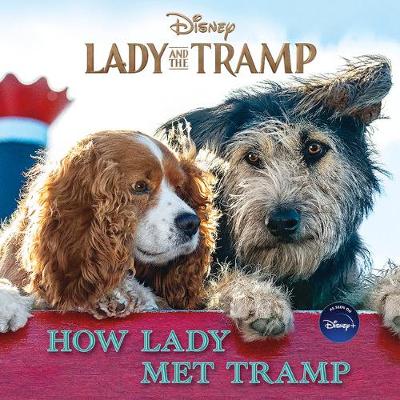 Book cover for Lady and the Tramp: How Lady Met Tramp