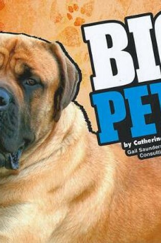 Cover of Big Pets