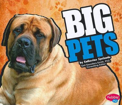 Book cover for Big Pets