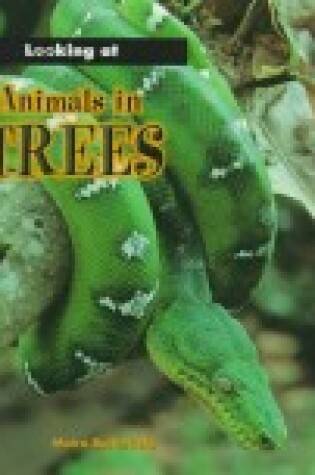 Cover of Animals in Trees Sb
