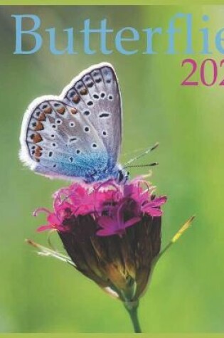 Cover of 2021 Butterflies
