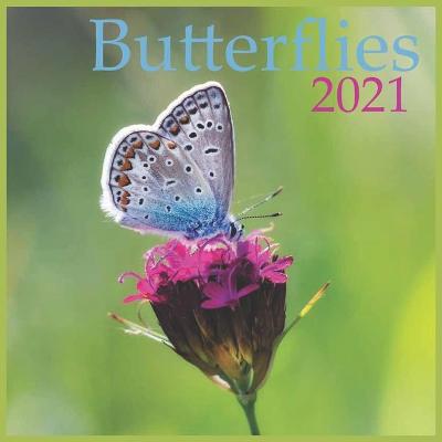 Book cover for 2021 Butterflies