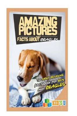 Book cover for Amazing Pictures and Facts about Beagles
