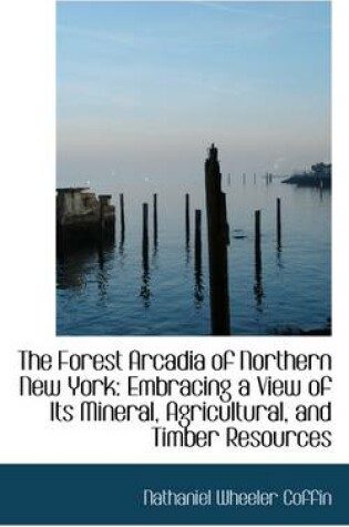 Cover of The Forest Arcadia of Northern New York