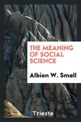 Cover of The Meaning of Social Science