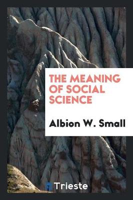 Book cover for The Meaning of Social Science