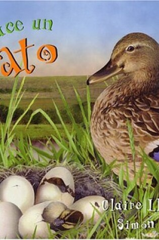 Cover of Así Nace... Un Pato