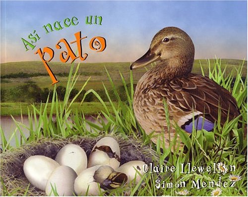 Book cover for Así Nace... Un Pato