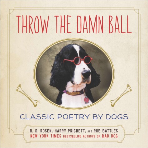 Book cover for Throw the Damn Ball