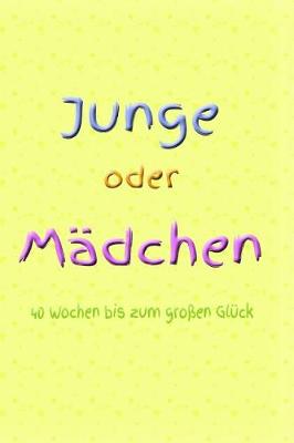 Book cover for Junge Oder M