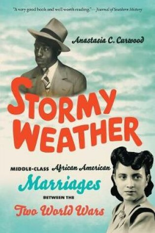 Cover of Stormy Weather