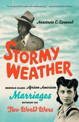 Book cover for Stormy Weather