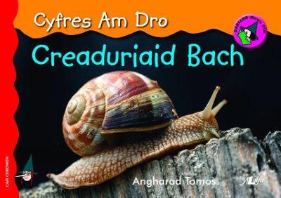 Book cover for Cyfres am Dro: 4. Creaduriaid Bach