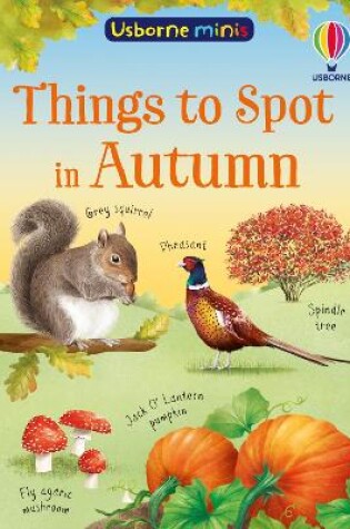 Cover of Things to Spot in Autumn