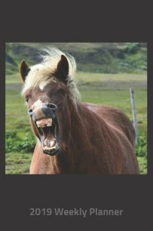 Cover of Plan on It 2019 Weekly Calendar Planner - You Said a Funny Laughing Horse
