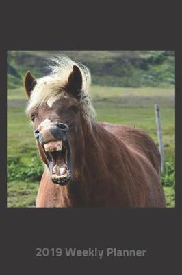 Book cover for Plan on It 2019 Weekly Calendar Planner - You Said a Funny Laughing Horse