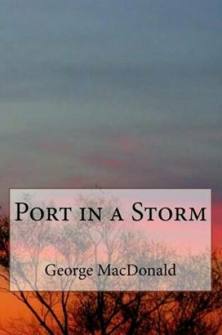 Cover of Port in a Storm