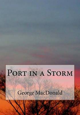 Book cover for Port in a Storm