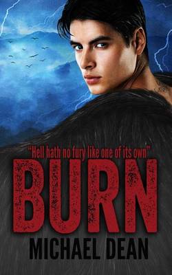 Book cover for Burn