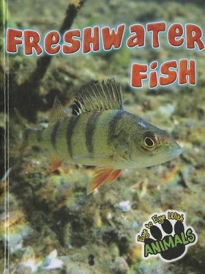 Book cover for Freshwater Fish