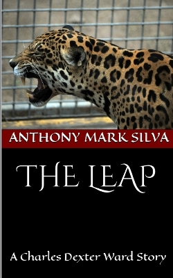 Book cover for The Leap