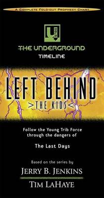 Book cover for The Underground Timeline