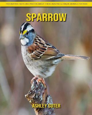 Book cover for Sparrow