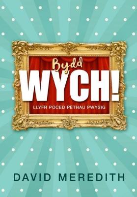 Book cover for Bydd Wych!