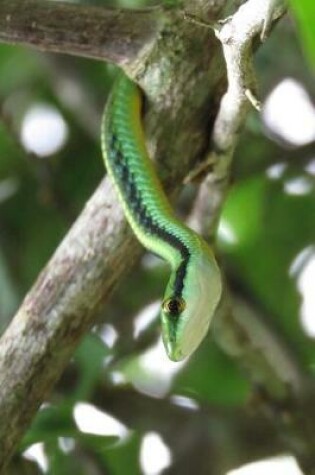 Cover of Vine Snake Notebook