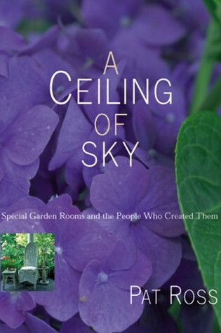 Cover of A Ceiling of Sky