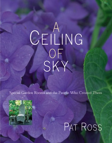 Book cover for A Ceiling of Sky