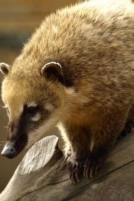 Book cover for A Coati in a Tree, for the Love of Animals